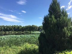 -亲兄弟真人CS团建拓展基地