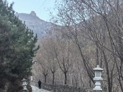 -雁门关景区