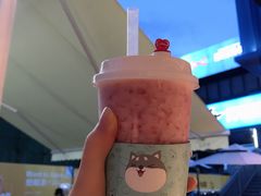 -野萃山·潮汕厚果汁(十亩地店)