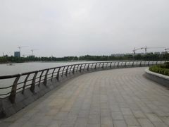 -南翔镇银翔湖公园