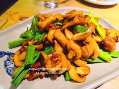 小炒口蘑-丰乐餐厅·始于1999·本地老字号