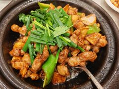 -朱记乳鸽王·非遗石岐乳鸽·全鸽宴(大兴旗舰店)