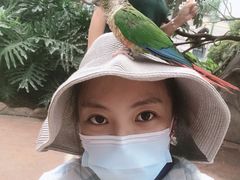 -灵玲国际马戏城