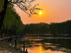 -东坝千亩湖公园