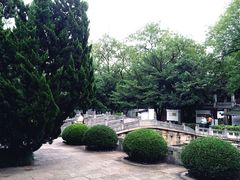 -汇龙潭