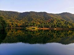 -桃花岭景区