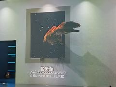 -天津自然博物馆