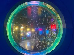 -太平洋海底世界