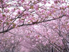 -长兴菜馆(高桥店)