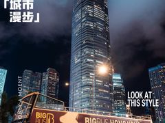 -Big Bus Tours 敞篷观光巴士