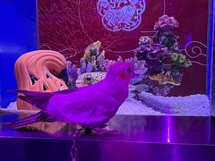 -上海海昌海洋公园