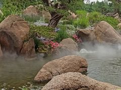 -罗红摄影艺术馆