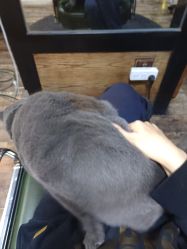 -青木造型HAIR·あおき髪を刈る潮人店