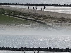 -南汇嘴观海公园