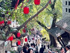 -重庆十八梯传统风貌区