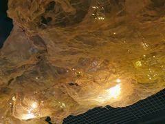 -顶特勒·黄鱼馆·特色菜(上海大世界店)