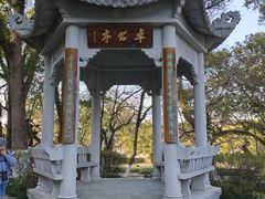 -江心屿景区