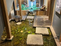 -邈墨茶馆(大兜路1号店)