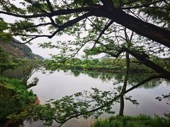 -婺源月亮湾