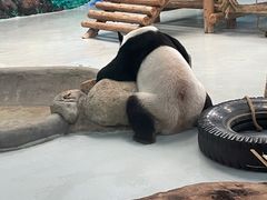 -柳州市动物园