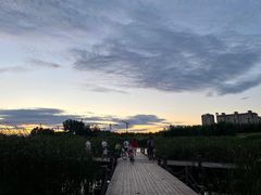 -马家湾湿地公园