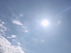 -大姆山草场