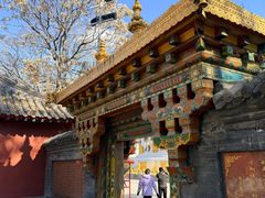 -护国法轮寺