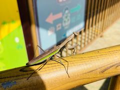 -桑干河大峡谷旅游区