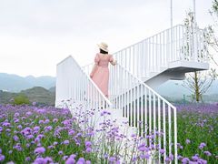 -金海湾滨江公园