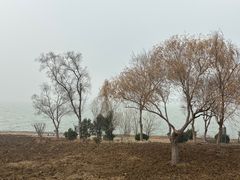 -洪泽湖古堰景区