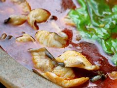 -都江堰石锅鱼