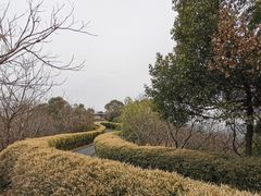 -天目湖涵田度假村