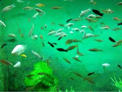 upload_pic-常州海昌海洋探索馆