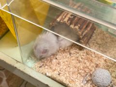 -龙猫仔乐园(惠福东路店)