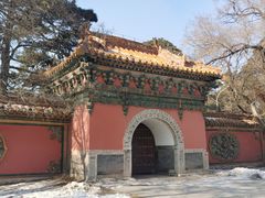 -北陵公园