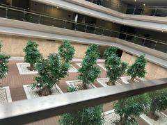 -南京禄口机场雅高铂尔曼大酒店