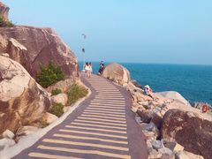 -广东惠东海龟国家级自然保护区