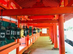 -奈良公园