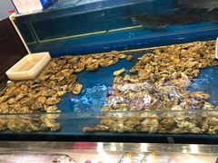 -威海小海鲜大排档胖哥烧烤(双井店)