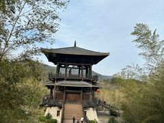 -大唐贡茶院