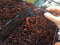 -活鲜水产品批发交易市场