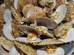 -前海沿·青岛菜(大拇指广场石老人店)