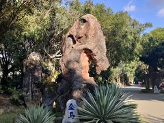 -云南勐巴娜西珍奇园