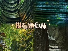 -梭布垭石林景区