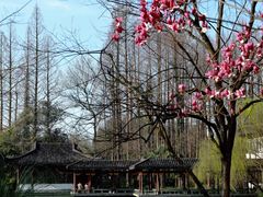 -杭州植物园