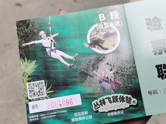 -西双版纳原始森林公园