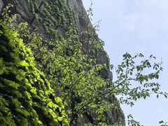 -崂山巨峰游览区