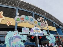 -泉城欧乐堡海洋极地世界