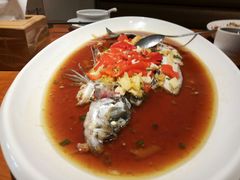 -丹江渔村(望京店)