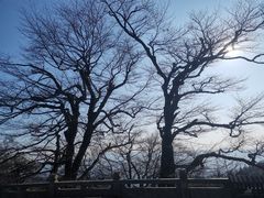 -永州阳明山国家森林公园